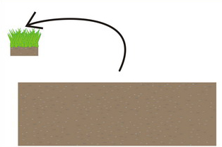 Betonový obrubník – odrytí drnů